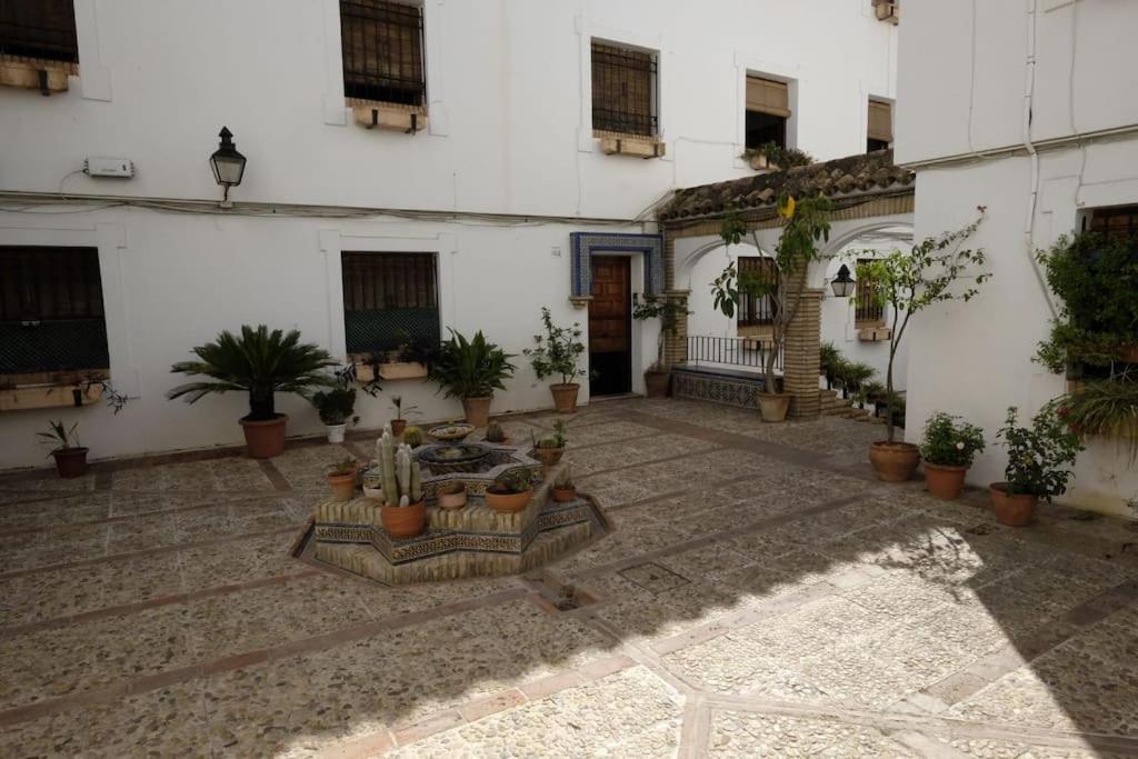Medina Paradise Córdoba Exteriér fotografie