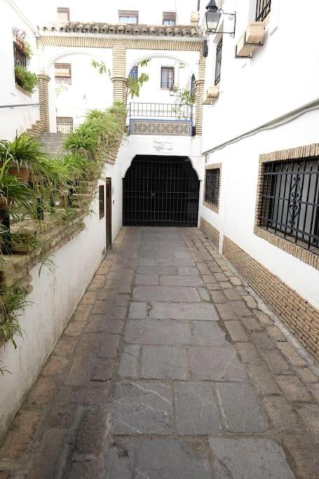 Medina Paradise Córdoba Exteriér fotografie